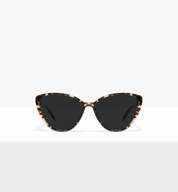 Leopard--front_image