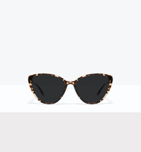 Leopard--front_image