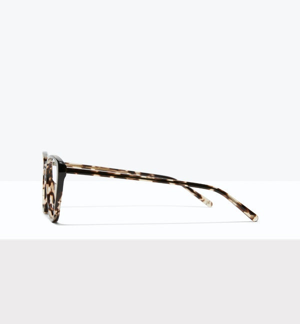 Leopard--side_image