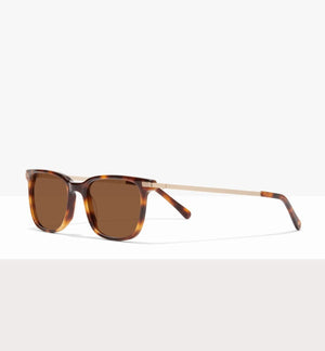 Tortoise--angled_image_sun