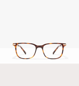 Tortoise--front_image