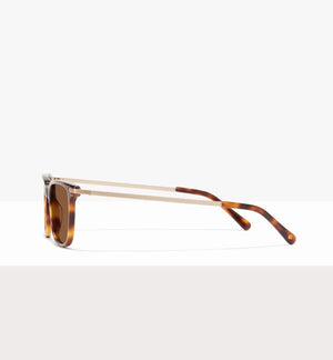 Tortoise--side_image_sun