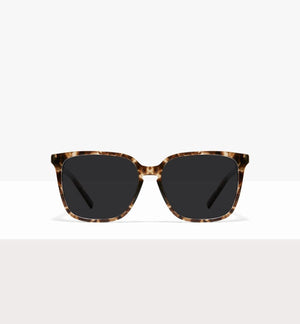 Leopard--front_image_sun