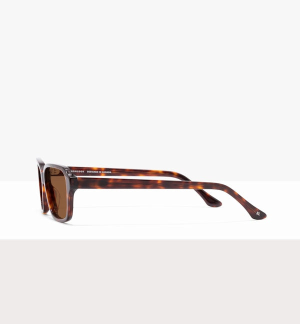 Tortoise--side_image_sun