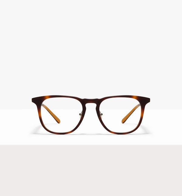 Shore Eyeglasses BonLook Tortoise Matte 4 yes