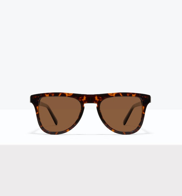 Brindle--front_image_sun