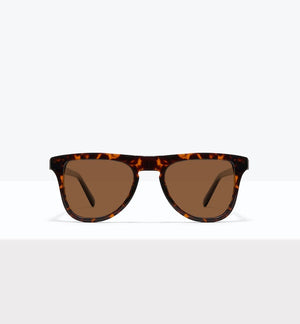 Brindle--front_image_sun