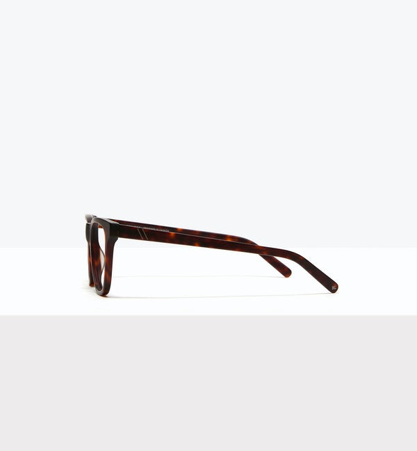 Matte Tortoise--side_image
