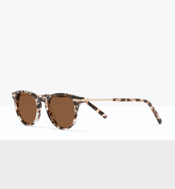 Mocha Tort--angled_image_sun