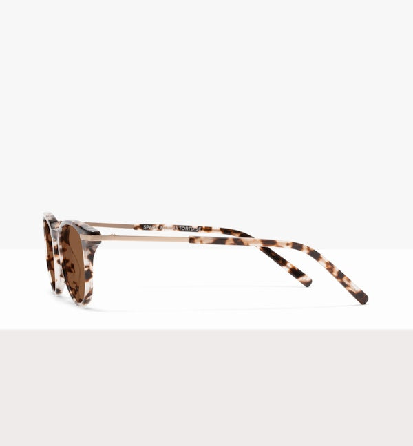 Mocha Tort--side_image_sun