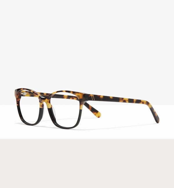 Two Tone Tort--angled_image