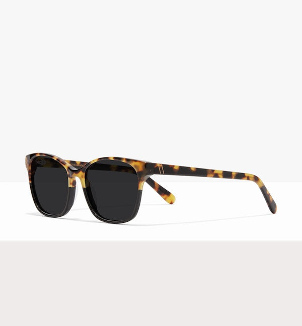 Two Tone Tort--angled_image_sun