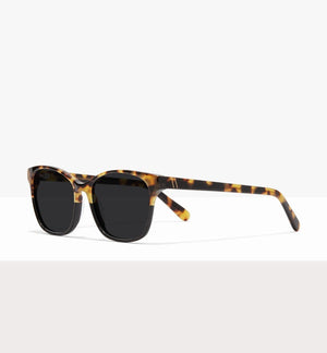 Two Tone Tort--angled_image_sun