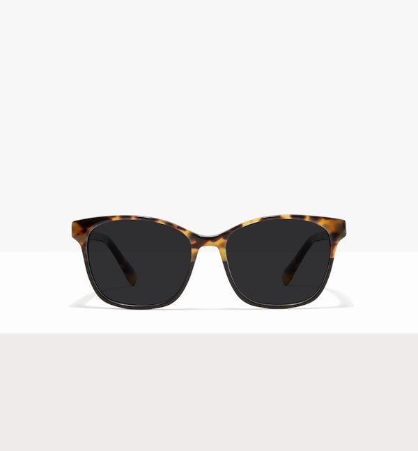 Two Tone Tort--front_image_sun