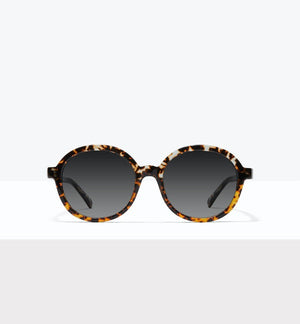 Status Sunglasses BonLook Monarch 4 yes