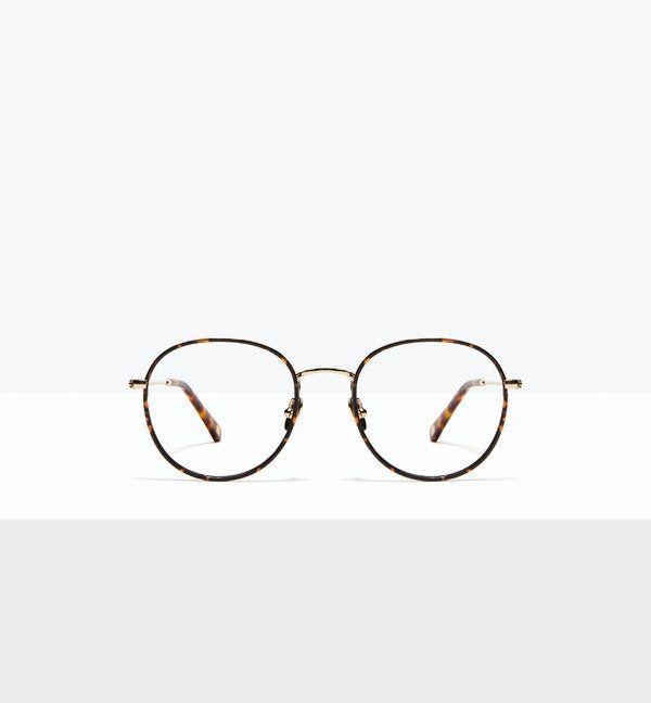 Fauve--front_image
