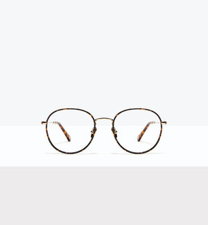 Fauve--front_image