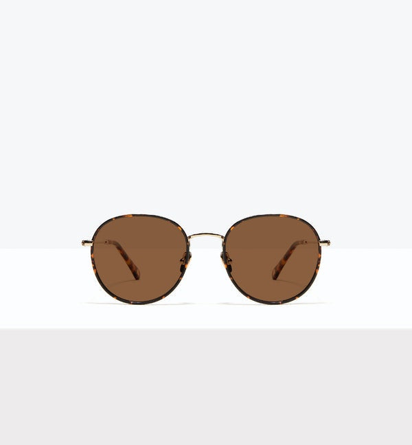 Fauve--front_image