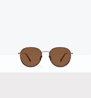 Fauve--front_image