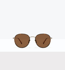 Fauve--front_image