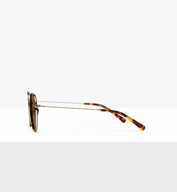 Fauve--side_image