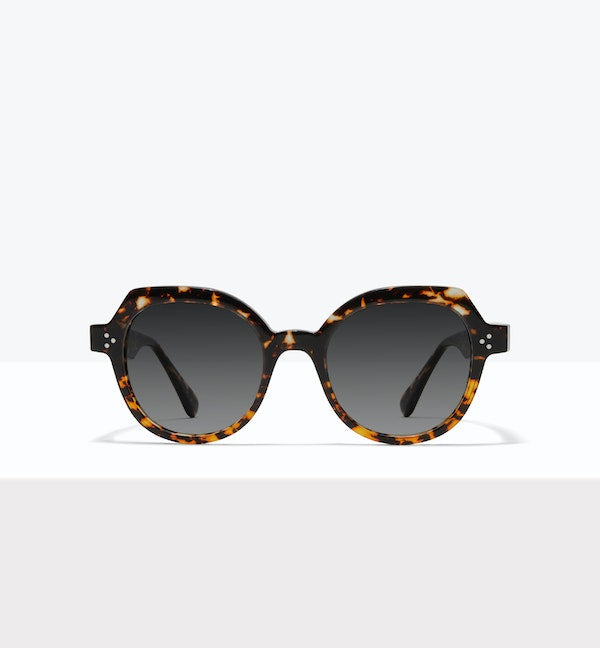 Monarch--front_image_sun