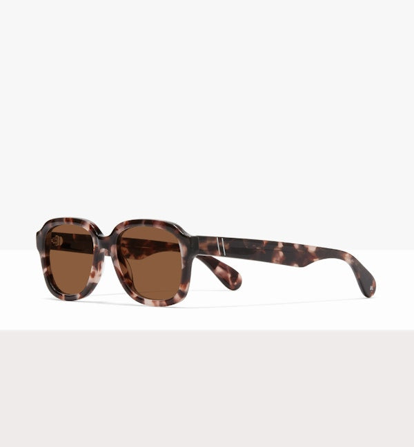 Reef Tort--angled_image_sun